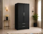 Multi-Purpose 2 Door Wardrobe Cabinet with charcoal colors wardrobe - Modern Two Door Wardrobe with 2 Drawers