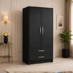 Multi-Purpose 2 Door Wardrobe Cabinet with charcoal colors wardrobe - Modern Two Door Wardrobe with 2 Drawers